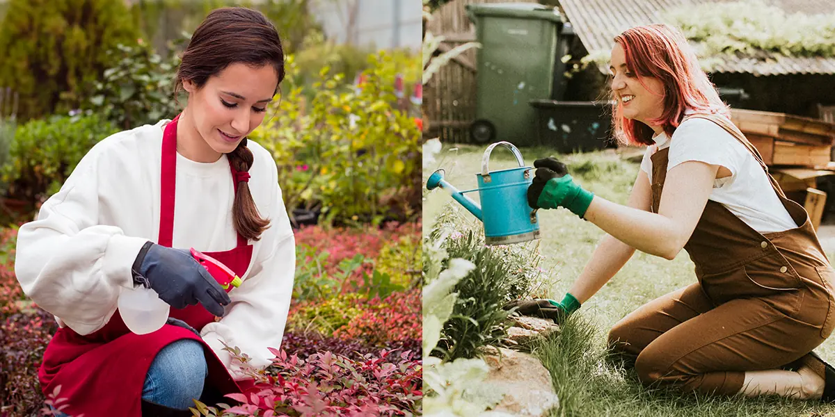 Gardening Without Knee or Back Pain